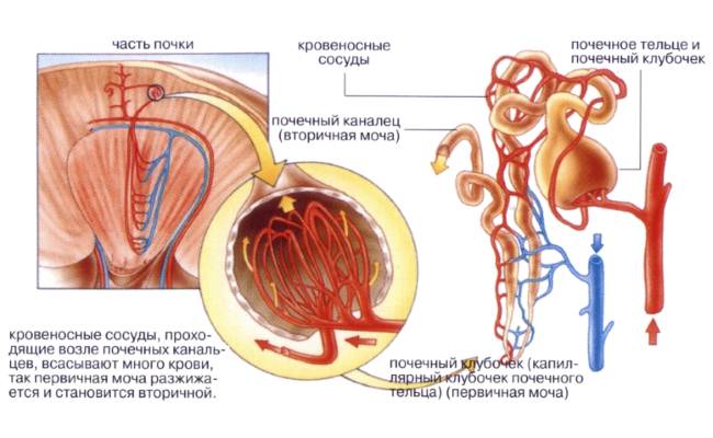 Несахарный диабет