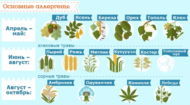 Аллергия на пыльцу