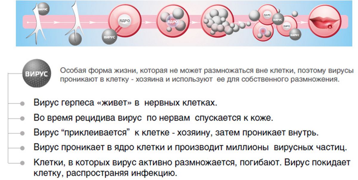 Температура губах